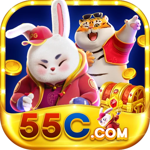 55C.COM